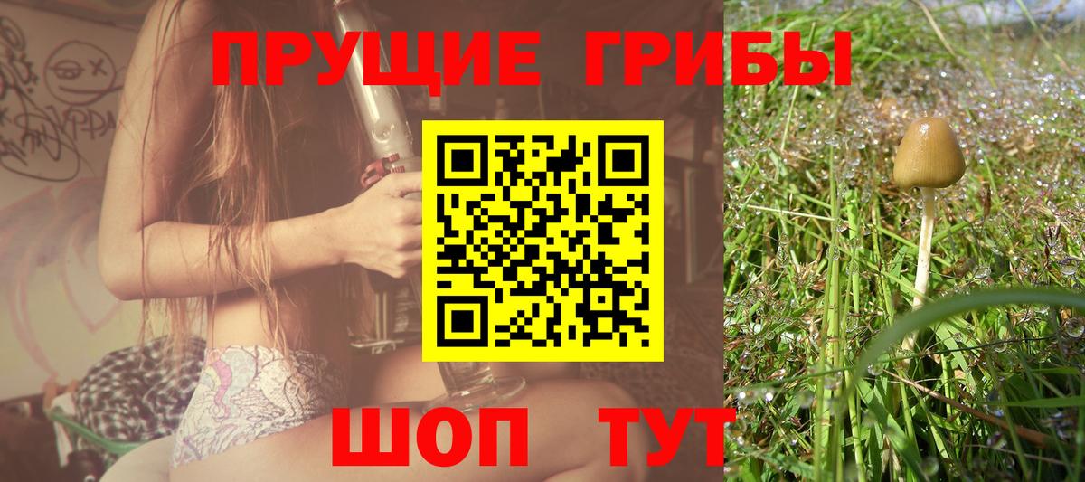 Галлюциногенные грибы мицелий  Вход с VPN  Сафоново 