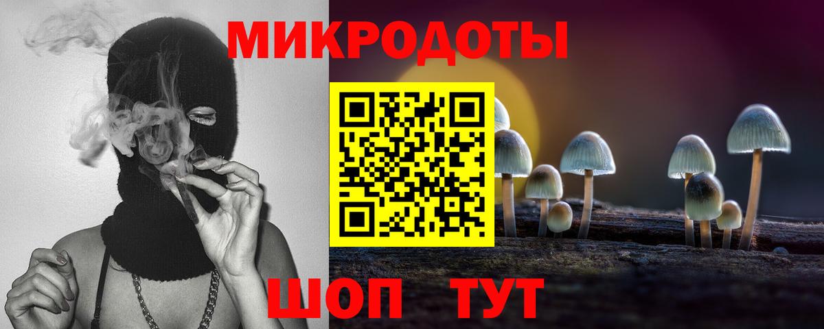 Псилоцибиновые грибы прущие грибы Сафоново